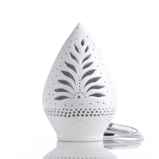 Seninătate de ferigă