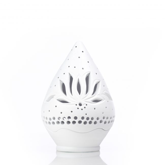 The Lotus Flower